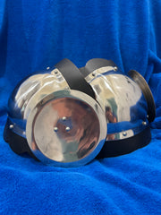 Stainless Steel Knees with Rondel Wing and Festoons